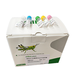 牛细小病毒qPCR试剂盒(不含内参)主图