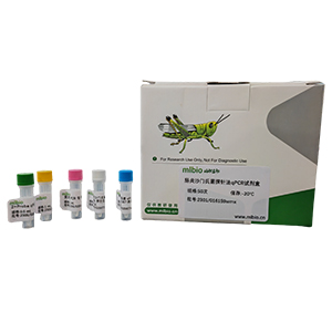 禽肾炎病毒1型探针法qRT-PCR试剂盒（不含内参）主图