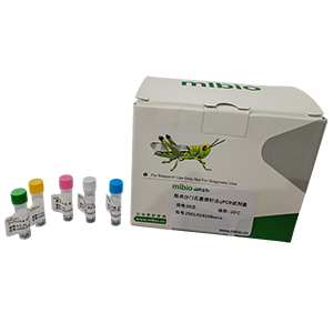 细菌通用探针法LAMP试剂盒(不含内参)主图