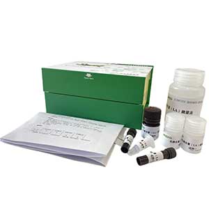 细胞总铁含量试剂盒96样主图