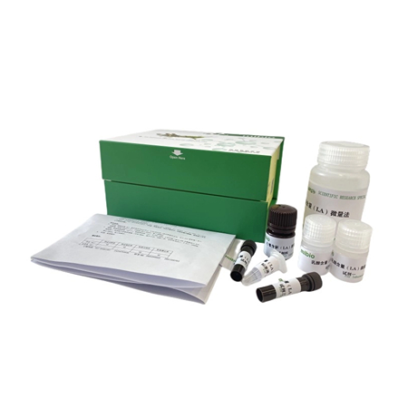 乳糖酶活性试剂盒24样主图
