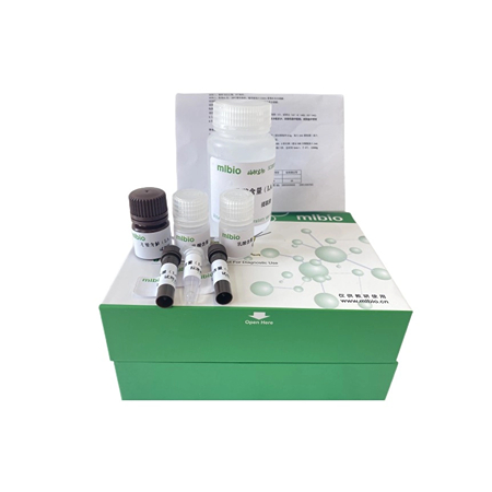 髓过氧化物酶活性试剂盒48样分光法主图