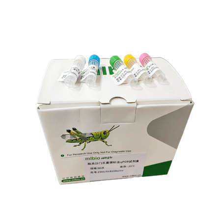 枝顶孢霉PCR检测试剂盒