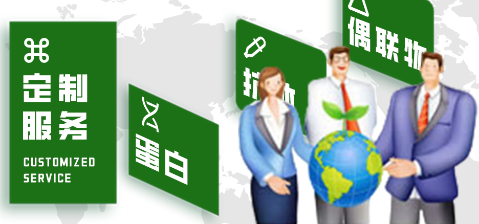 定制服务,蛋白,抗体,偶联物